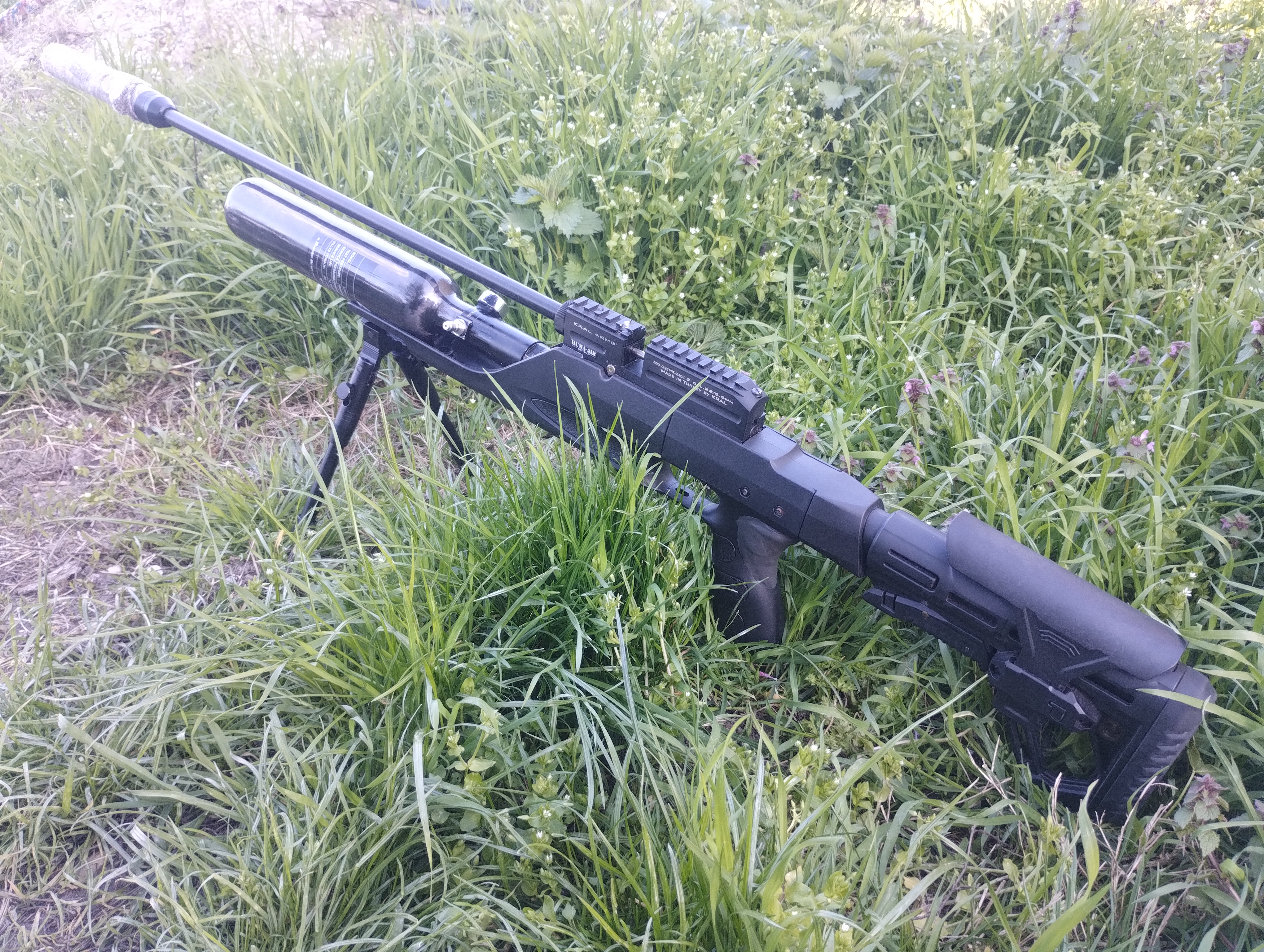 Kép 5